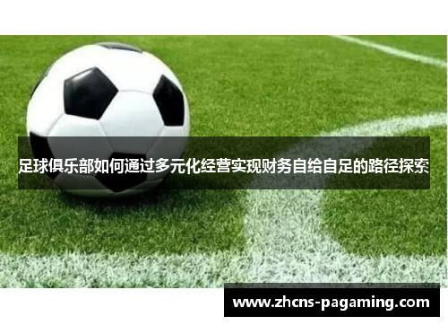足球俱乐部如何通过多元化经营实现财务自给自足的路径探索 足球俱乐部如何通过多元化经营实现财务自给自足的路径探索
