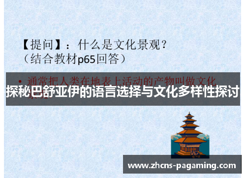 探秘巴舒亚伊的语言选择与文化多样性探讨