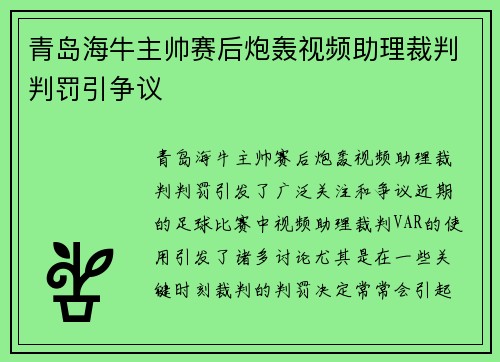 青岛海牛主帅赛后炮轰视频助理裁判判罚引争议 青岛海牛主帅赛后炮轰视频助理裁判判罚引争议